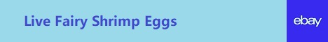 Live Eggs
